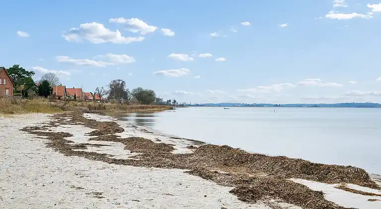 Ferienwohnung am Hafen, Strand, Safaripark