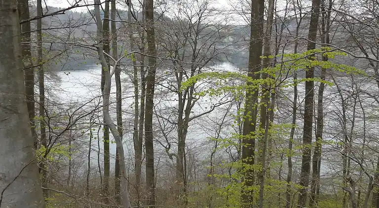 Holiday home in Lutzerath