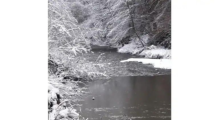 Holiday home in Lutzerath