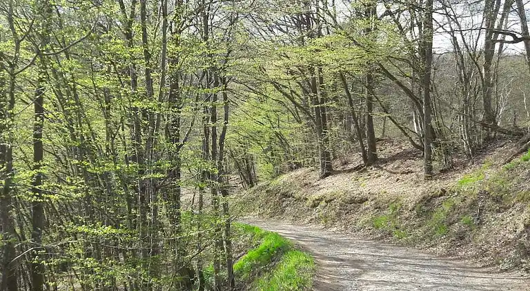 Holiday home in Lutzerath