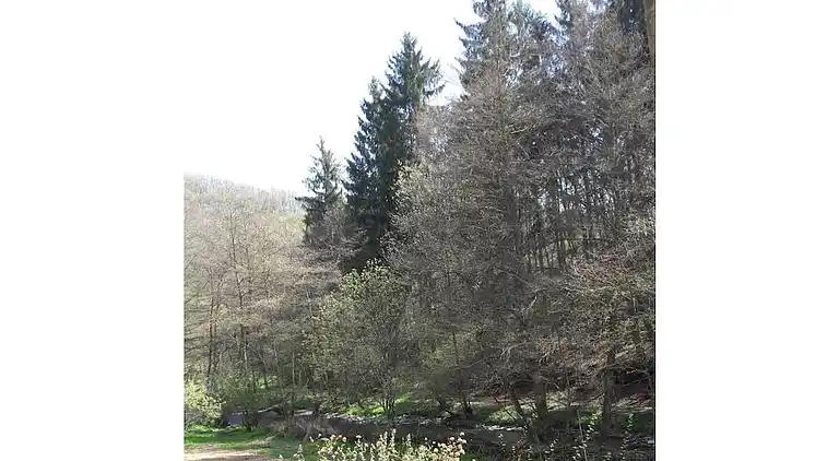 Holiday home in Lutzerath