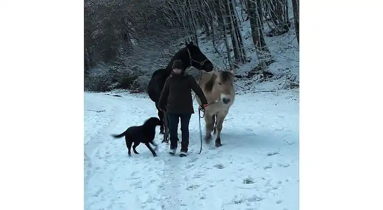 Holiday home in Lutzerath