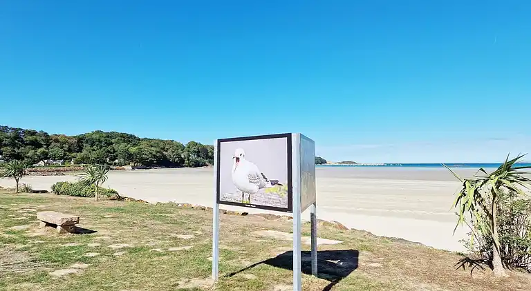 Holiday home in Plougasnou