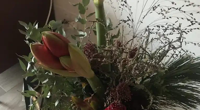 Familienhaus nahe Natur und Küste