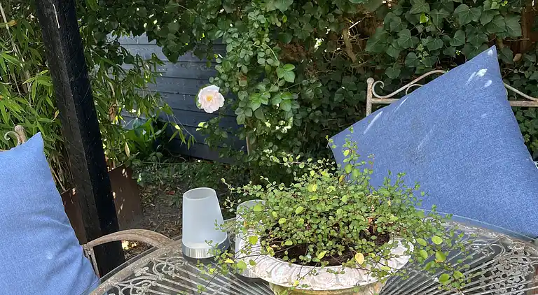 Familienhaus nahe Natur und Küste