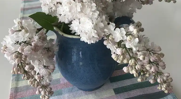 Familienhaus nahe Natur und Küste