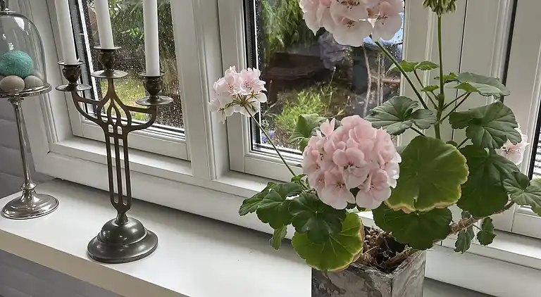 Familienhaus nahe Natur und Küste