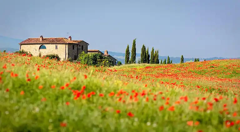 Downtown flat 250mt from the beach