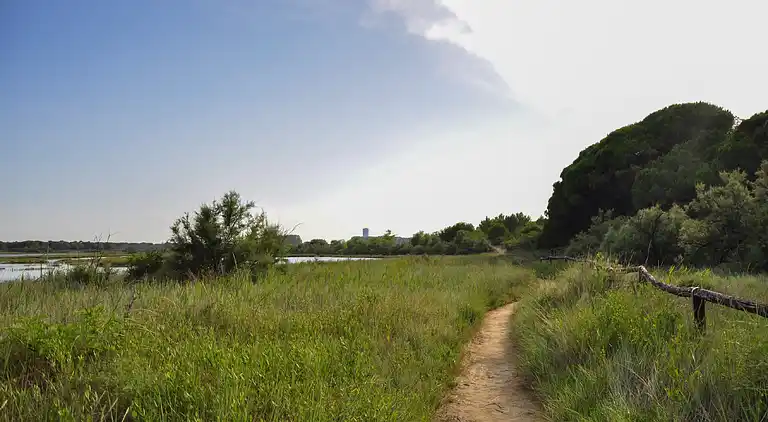 Downtown flat 250mt from the beach