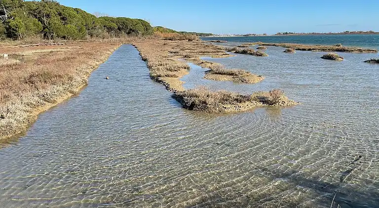 Downtown flat 250mt from the beach