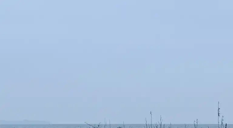 Flott hus med utsikt over Limfjorden