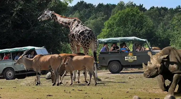 Moderne sommerhus med vildmarksbad og nær vandet