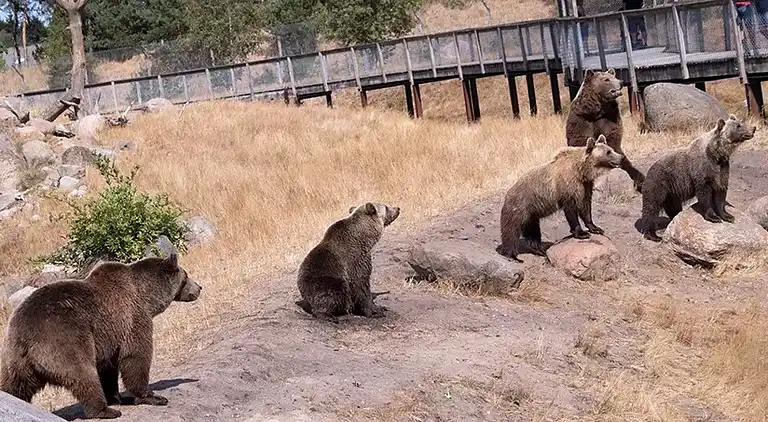 Moderne sommerhus med vildmarksbad og nær vandet