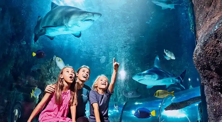 Moderne sommerhus med vildmarksbad og nær vandet