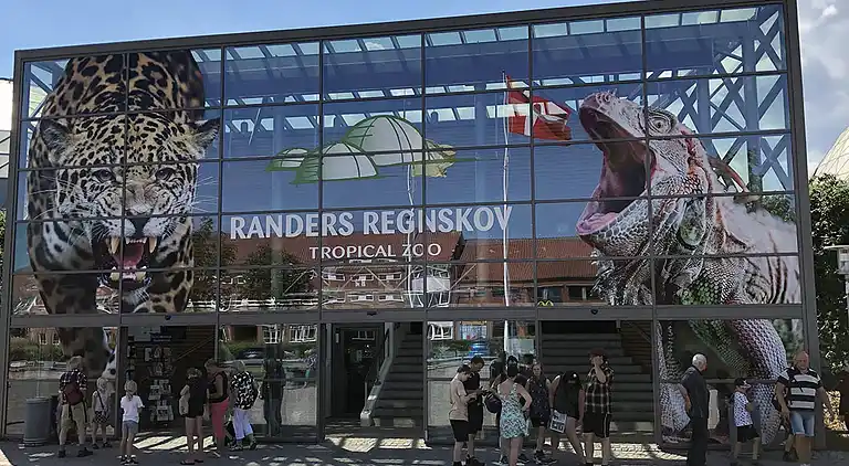 Moderne sommerhus med vildmarksbad og nær vandet