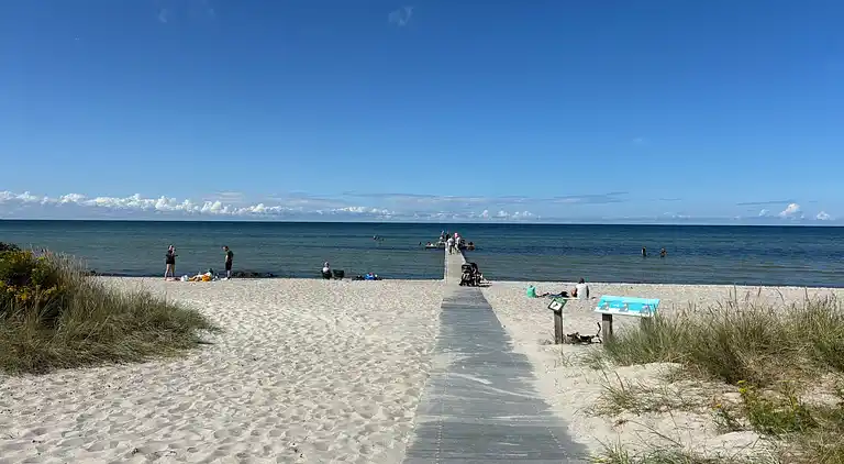 Moderne sommerhus med vildmarksbad og nær vandet