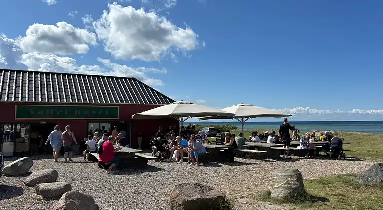 Moderne sommerhus med vildmarksbad og nær vandet
