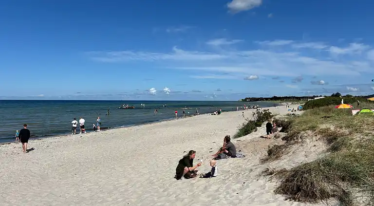 Moderne sommerhus med vildmarksbad og nær vandet
