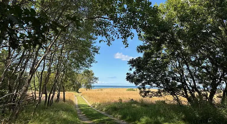 Moderne sommerhus med vildmarksbad og nær vandet