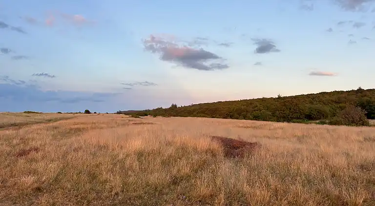 Moderne sommerhus med vildmarksbad og nær vandet