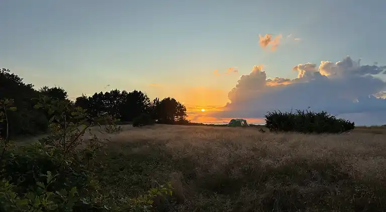 Moderne sommerhus med vildmarksbad og nær vandet
