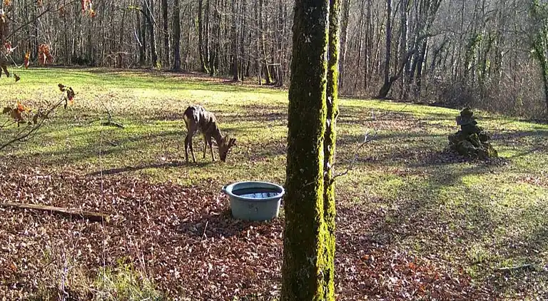 Villa in Monflanquin