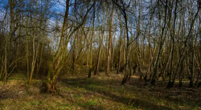 Villa in Monflanquin