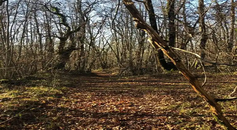 Villa in Monflanquin