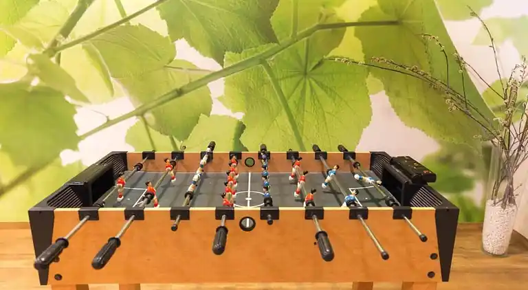 Apartment in Feldberg