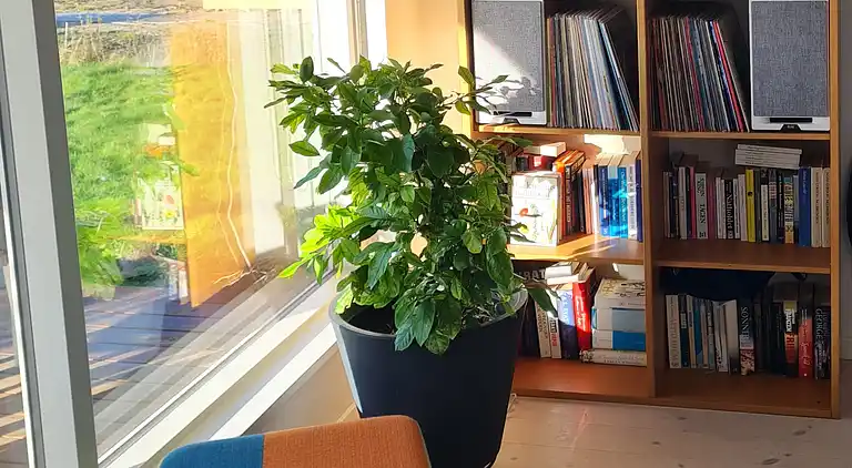 Gemütliches Ferienhaus an Fünens Nordküste