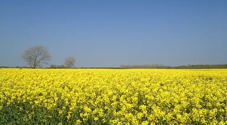 Holiday home in Wackerballig