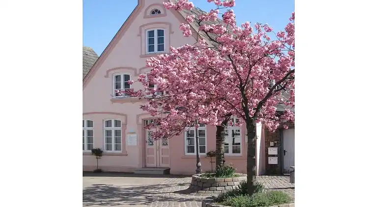 Holiday home in Wackerballig