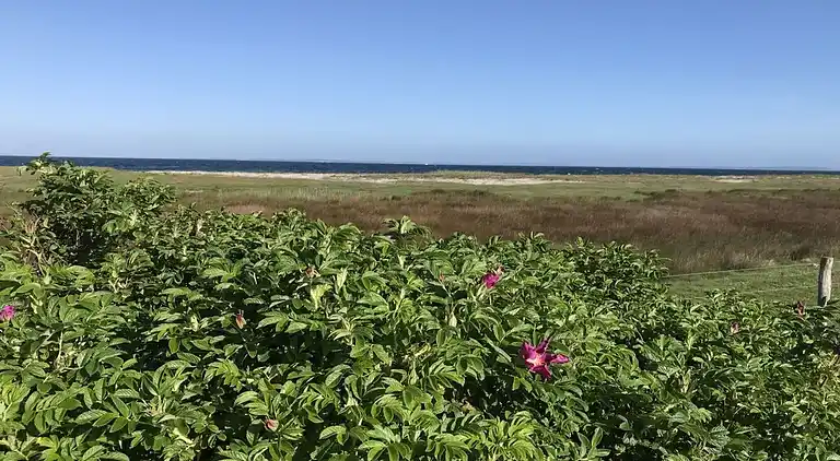 Holiday home in Wackerballig