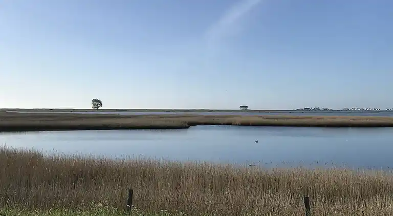 Holiday home in Wackerballig