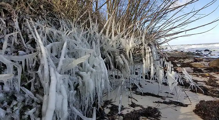 800m til strand,  strøm og vand inkl. 