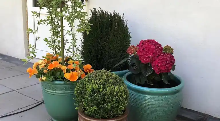 800m til strand,  strøm og vand inkl. 