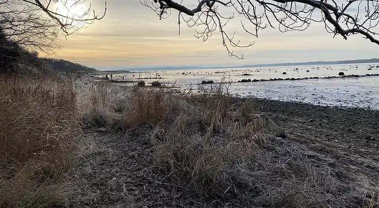 Unik naturferie med panoramaudsigt over vandet