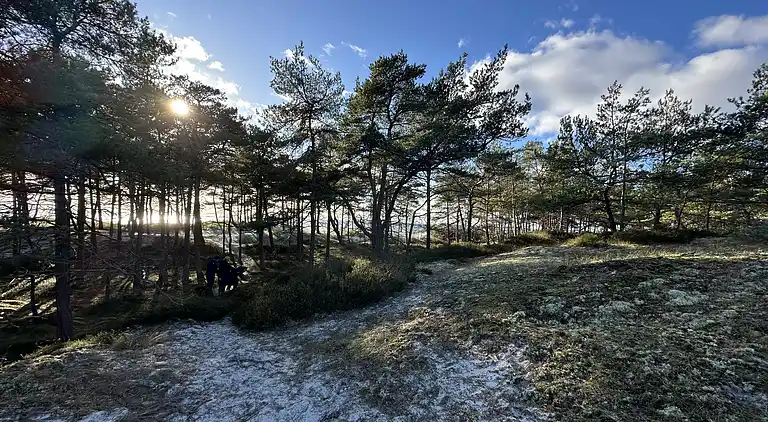 Hyggeligt og moderne sommerhus midt i skoven