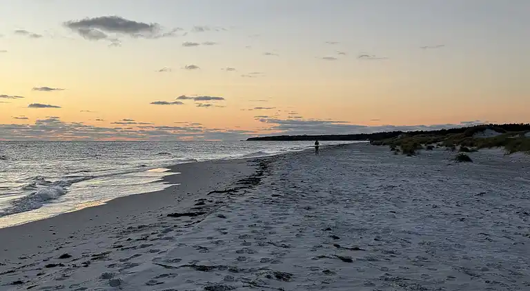 Hyggeligt og moderne sommerhus midt i skoven