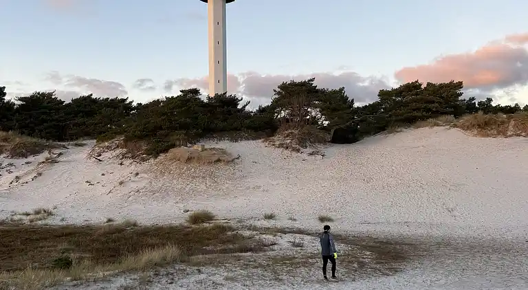 Hyggeligt og moderne sommerhus midt i skoven