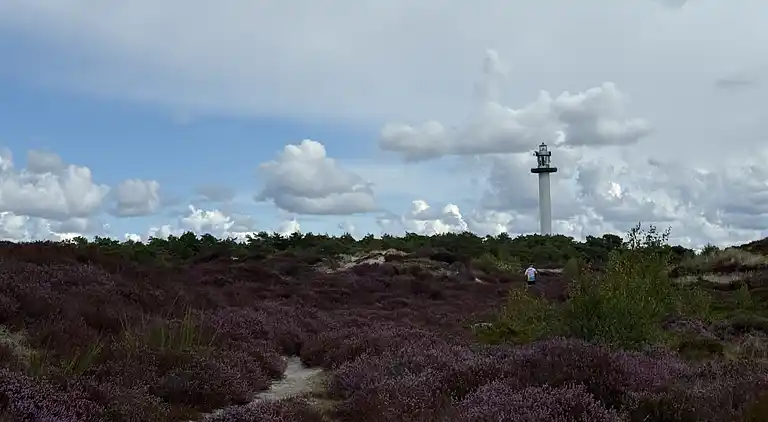 Hyggeligt og moderne sommerhus midt i skoven