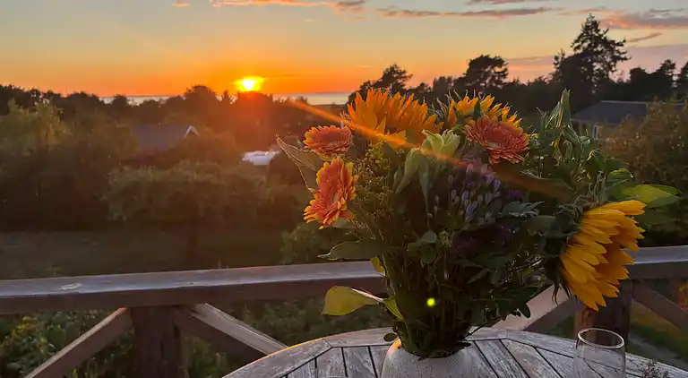 Lækkert sommerhus med havudsigt