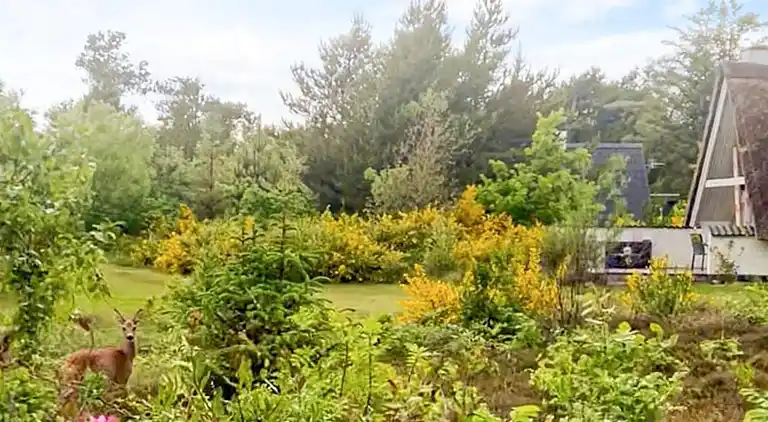 Sommerhus i Lodbjerg Hede