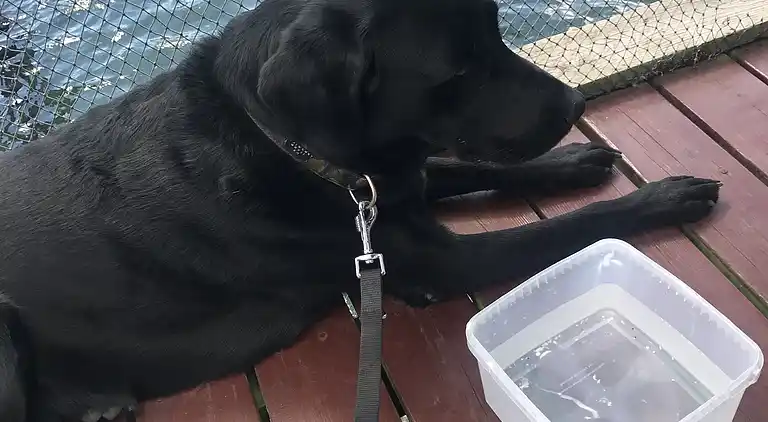 Familienhaus nahe Natur und Küste