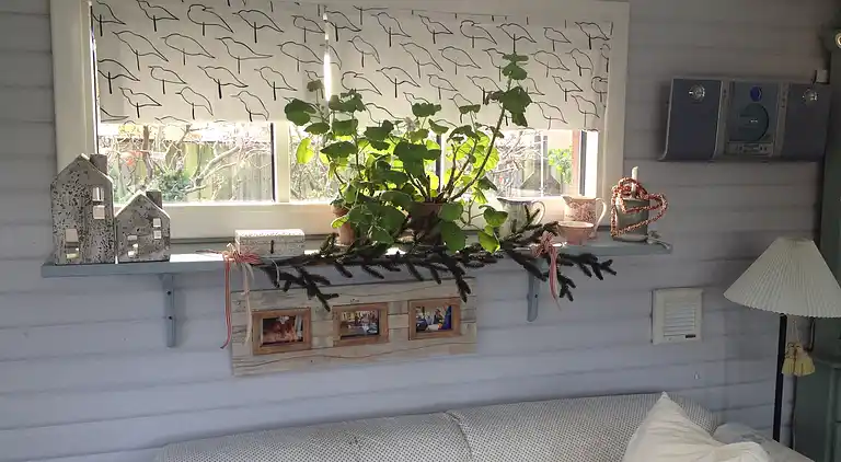 Familienhaus nahe Natur und Küste