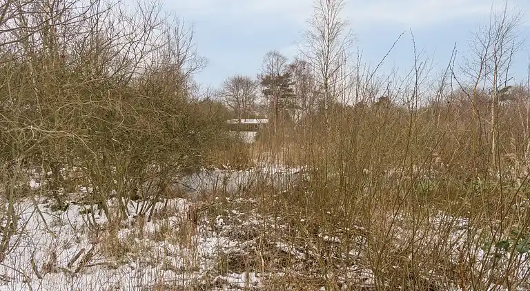 Feriehus med spa og sauna, tæt på natur