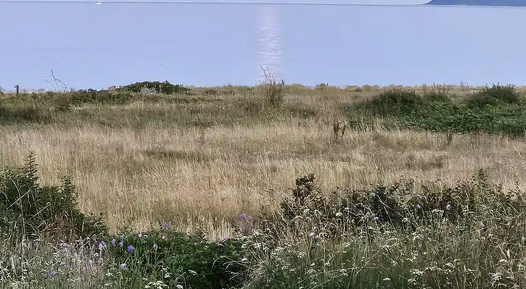 Sommerhus med havudsigt og strand i baghaven