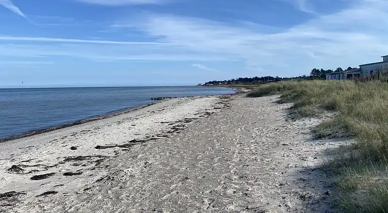 Schönes Ferienhaus in einem Waldgebiet gelegen