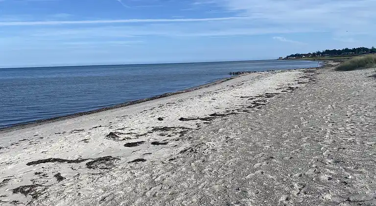 Schönes Ferienhaus in einem Waldgebiet gelegen