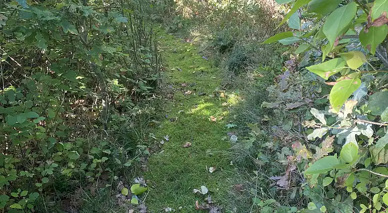 Schönes Ferienhaus in einem Waldgebiet gelegen